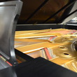 1983 Steinway D concert grand - Grand Pianos